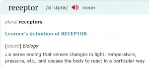 receptor-merriamwebster